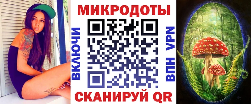 Псилоцибиновые грибы GOLDEN TEACHER ОМГ ОМГ как зайти Нововоронеж где купить наркоту