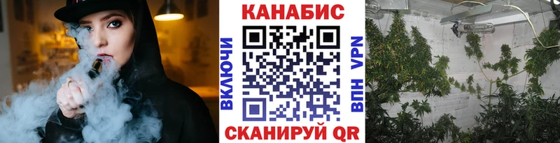Бошки Шишки семена  купить   Нововоронеж 
